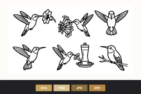 Hummingbird Line Art Floral Decor: A Designer's Review