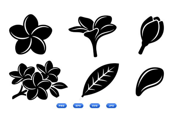 Plumeria Floral Silhouette SVG: Graphics & Illustrations for Brand Clarity